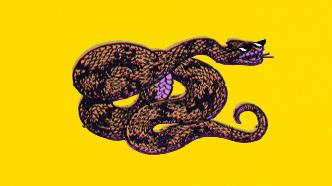 A snake in sunglasses on a yellow background, evoking the Gadsden flag, with glitch-like artifacts surrounding it