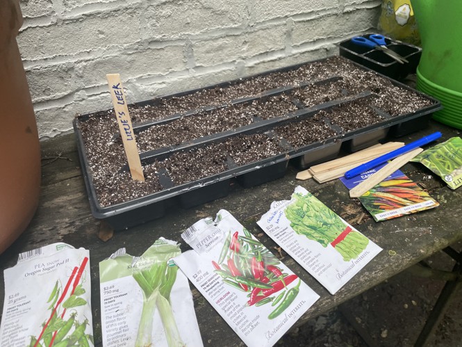 A seed tray filled with soil. Packets of different vegetables seeds lying on the table. One soil compartment has a label saying 