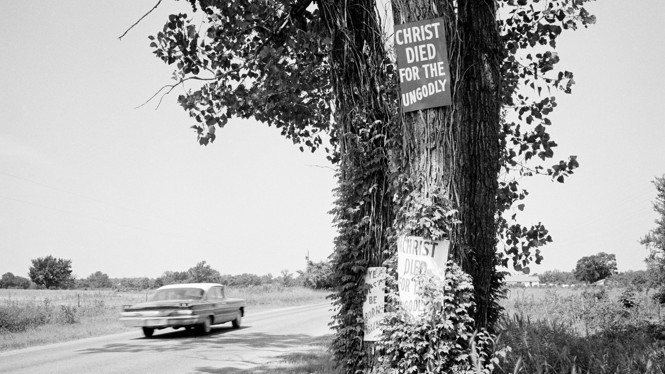 black and white photo of a car driving past a tree with signs reading 
