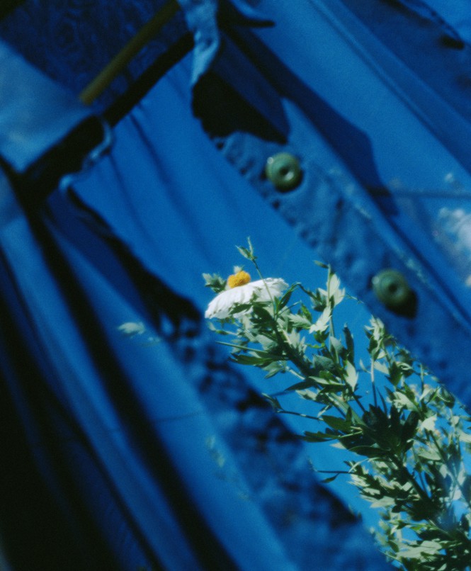 Shear blue shirt outside with a flower behind it