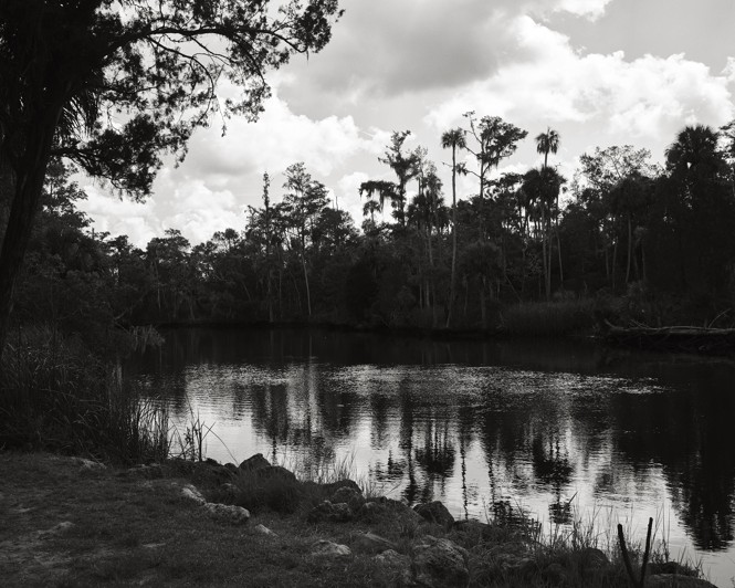Picture of Brackish Water in Otter Creek, Florida