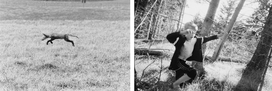 BW diptych: a fox bounding across a field opposite a child runs through the forest