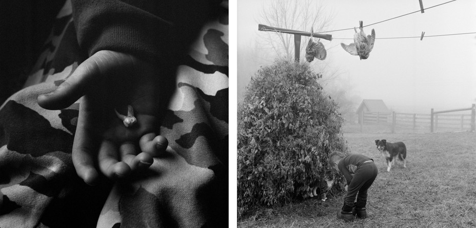 BW diptych: a child's tooth in their hand, birds hanging from a line and a boy and. a cat and dog in a field