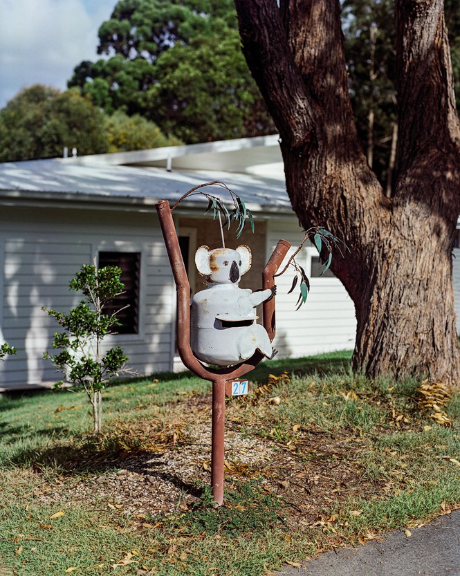 photo of mailbox shaped like koala sitting in tree in front of house