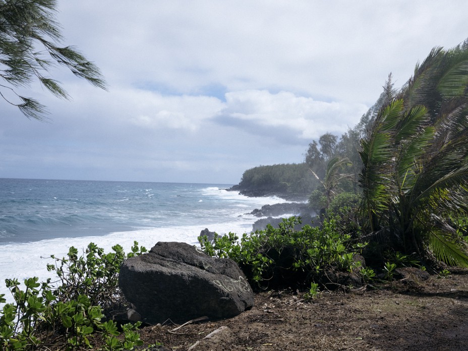 The shoreline where Dana Ireland's body was left. Photograph by Phil Jung