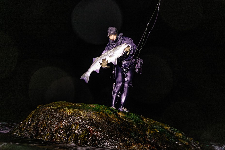 night photo of man in head-to-toe wetsuit bending down while standing on ocean rock holding very large silver fish