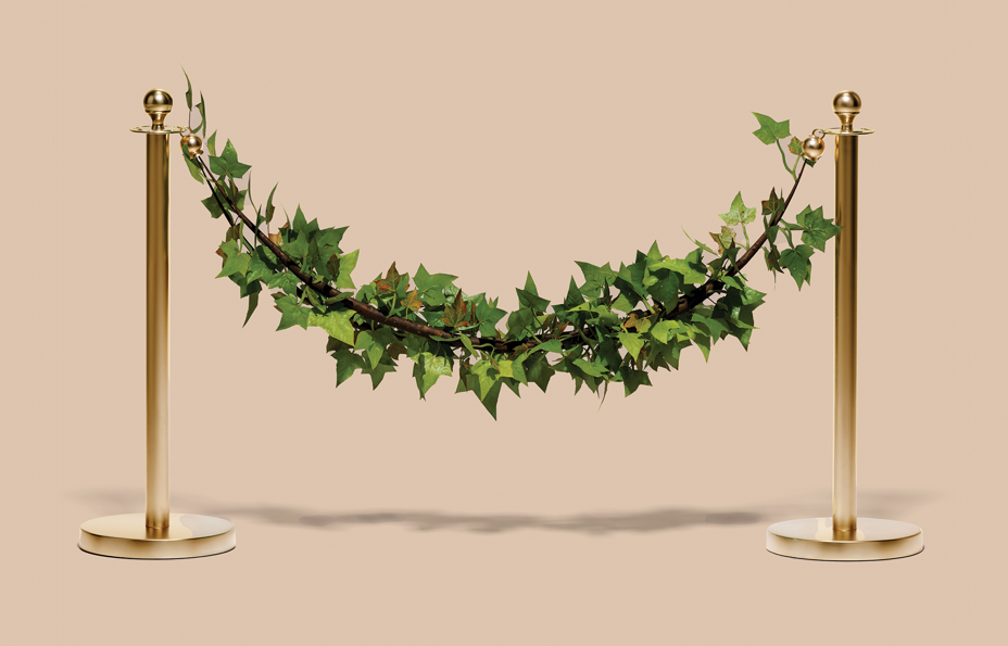 photo-illustration of two golden stanchions with ivy vines instead of velvet rope stretched between them