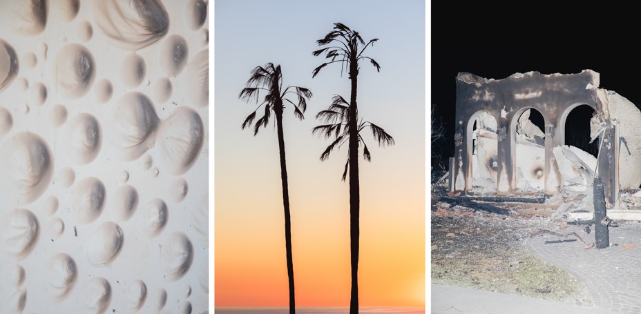 In three vertical photos there is a detail of burned paint, singed palm trees, and a burned down house