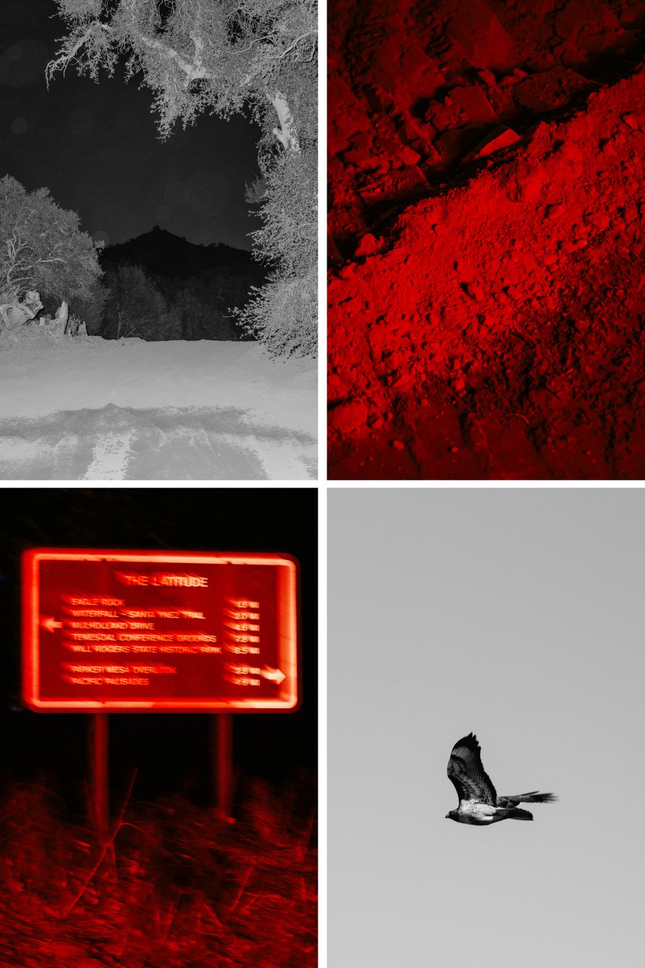 In a grid there is black and white images of a dirt road and trees and a bird flying. In red images there is dirt and a blurry hiking sign