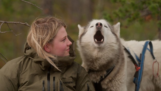 A young woman looks at a husky howling 