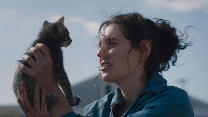 A young woman holds a kitten looking at it