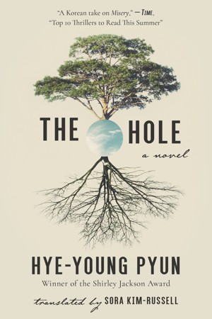 The cover of The Hole