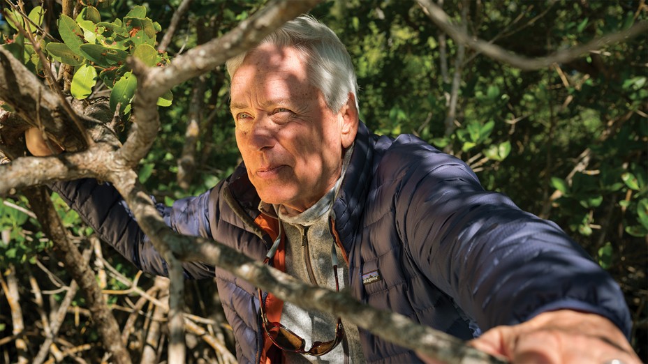 photo of Carl Hiaasen wearing blue jacket over gray fleece holding the branches of a mangrove