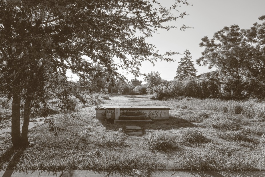 black-and-white photo of abandoned lot with a sidewalk to concrete steps to nothing, with grass and trees around the edge