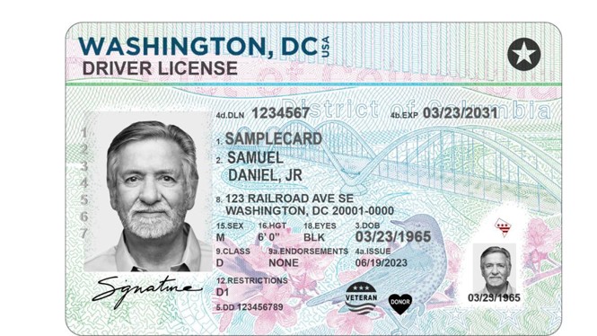 sample drivers license