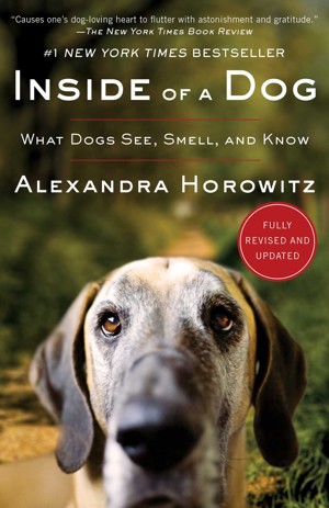 The cover of Inside of a Dog