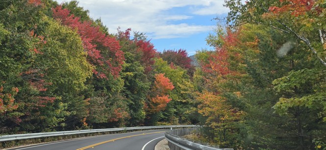 Folliage in Kancamagus Highway in New Hampshire