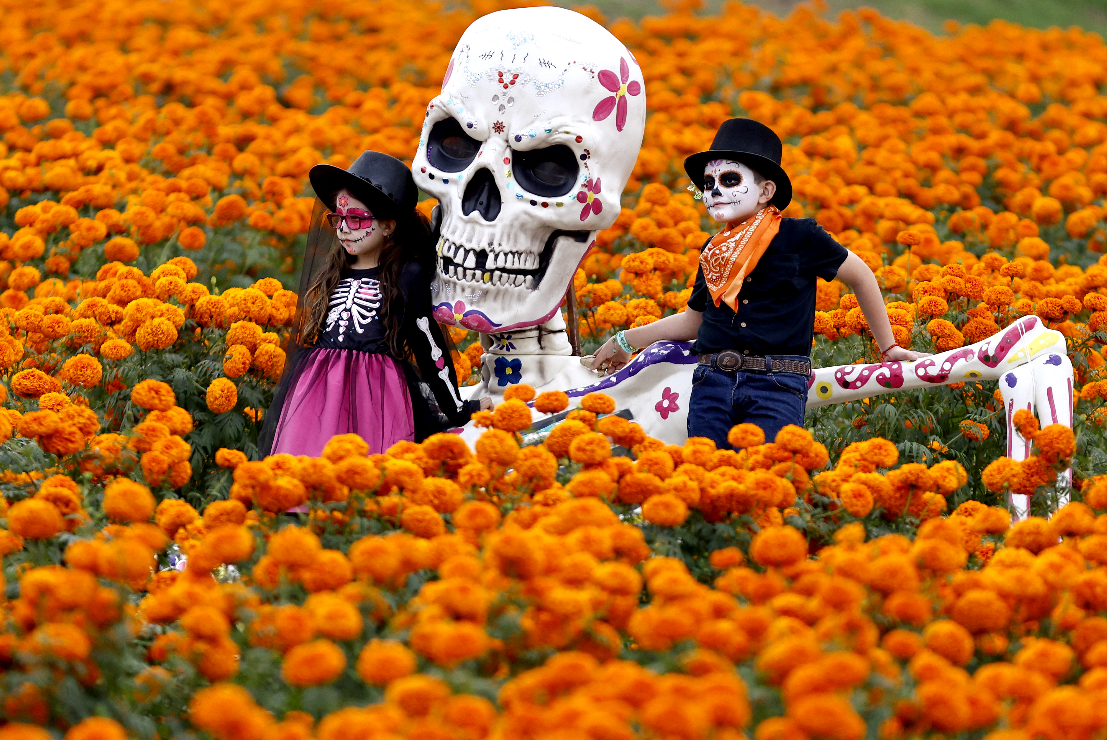 Photos: Preparing for the Day of the Dead Photos: Preparing for the Day of the Dead