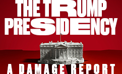 The Trump Presidency: A Damage Report