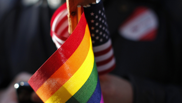 american rainbow-body.jpg