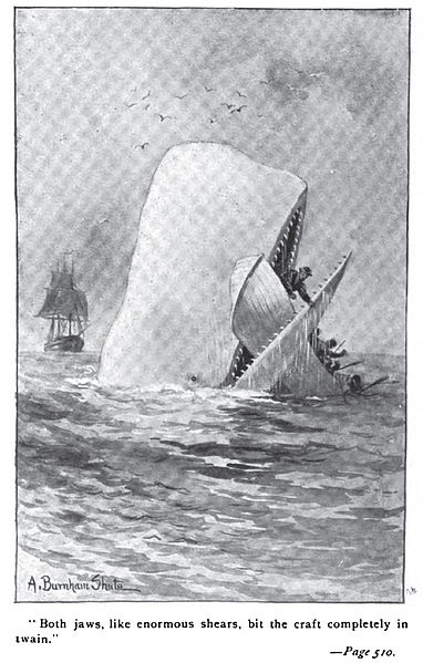 382px-Moby_Dick_p510_illustration.jpg