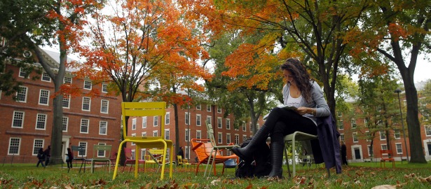 615 harvard lawn fall college university.jpg