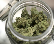 615_Marijuana_Reuters.jpg