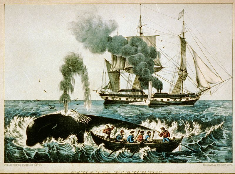 Wrecked Whaling Ship Offers Glimpse of U.S. Racial History - The New York  Times