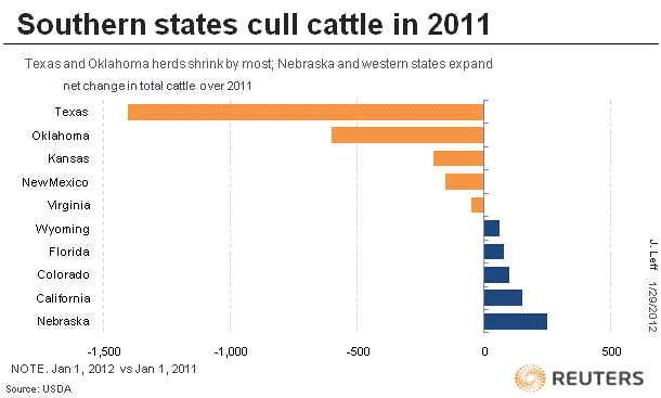 Cattle_Cull_2011.png