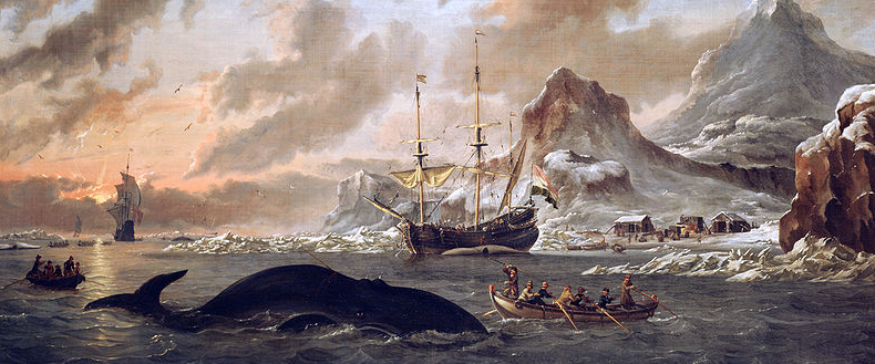 The Spectacular Rise and Fall of U.S. Whaling: An Innovation Story - The Atlantic