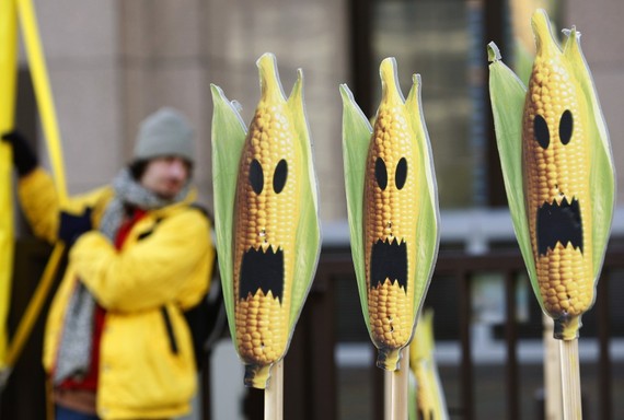 Corn_GMO_Genetically_Modified_Halloween_Reuters.jpg