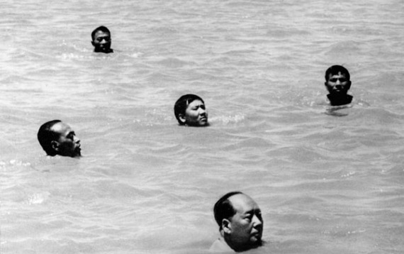 maoswimming.jpg