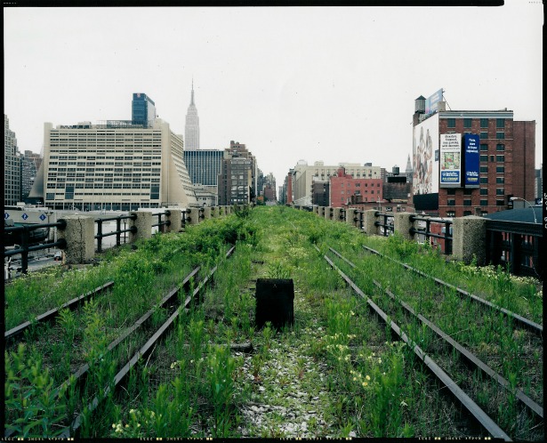 Winter  The High Line