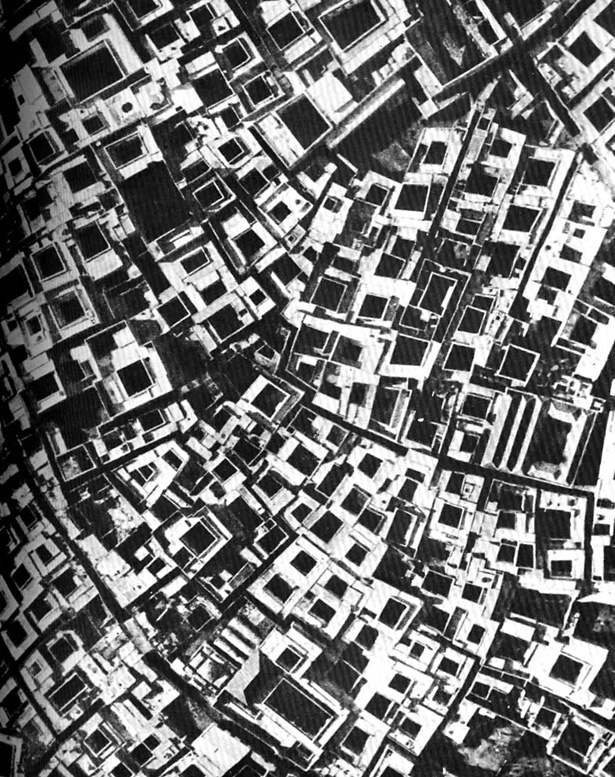 architecturewithoutarchitects4.jpg