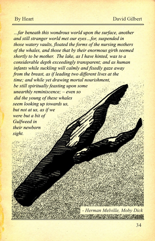 moby dick full text