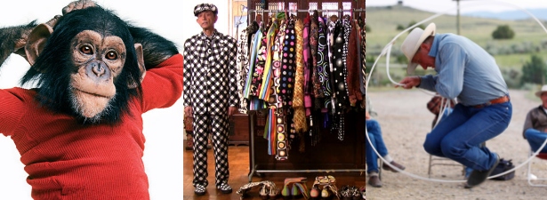 documentaries levin gallery banner 615.jpg