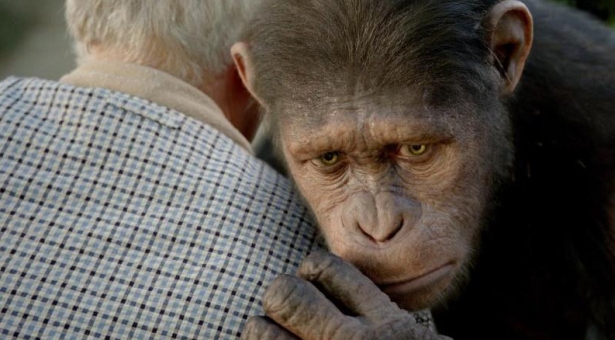 rise of planet of the apes 615 review.jpg