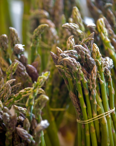 9_asparagus_benosuka_VERT.jpg