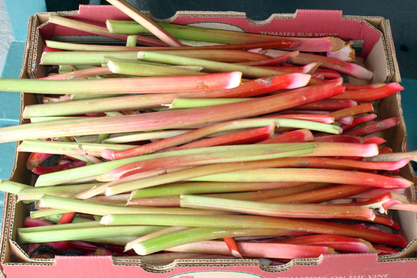 SS5 sayle rhubarb.jpg