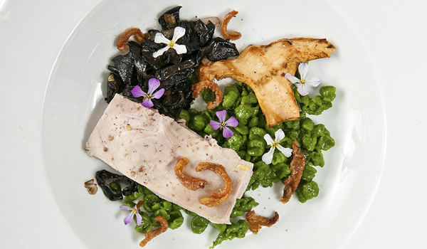 spring pheasant with mushooms close lgedit.jpg