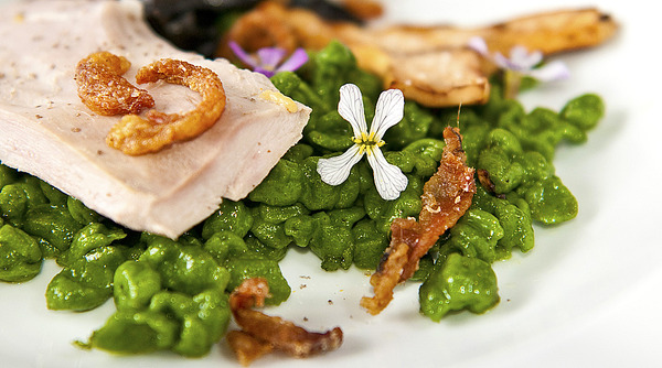 spring pheasant with mushooms detail lg.jpg