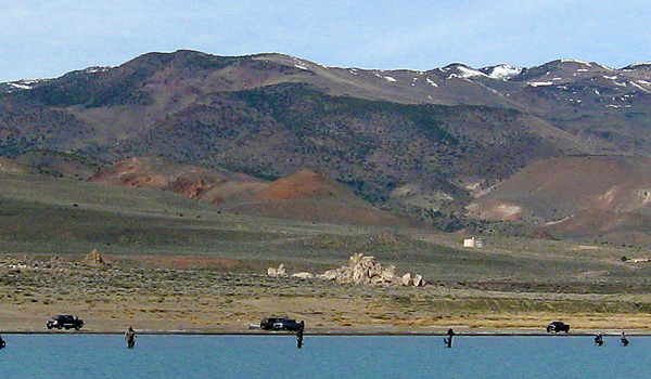 shore anglers lgedit.jpg