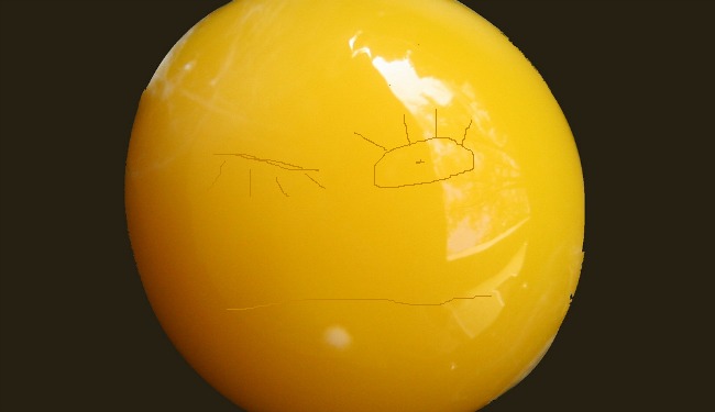 egg yolk main photo 2.jpg