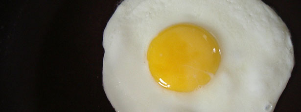 are sunny side up eggs safe for dogs