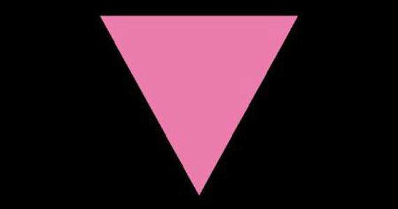 Gay Pride Pink Triangle Refrigerator Magnet LGBTQ Gay Rights Resistance 