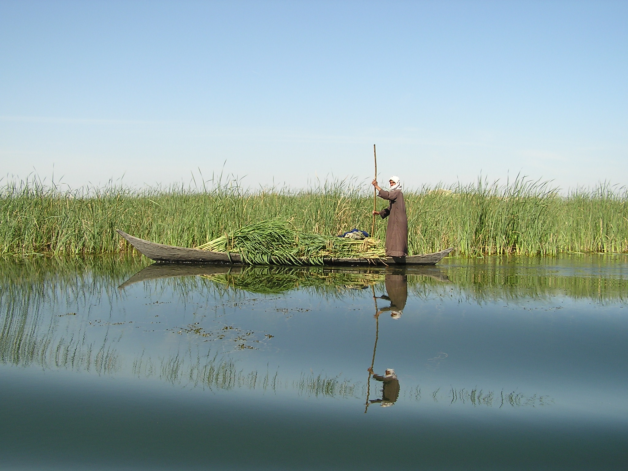 Against_the_mirror_in_the_Iraq_Marshes._Mudhafar_Salim,_Nature_Iraq.JPG