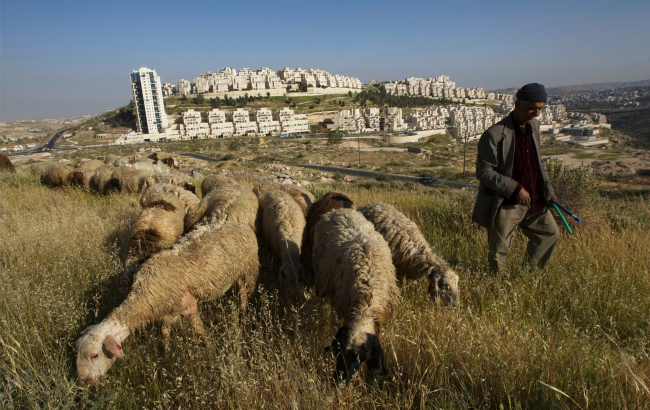 Har homa sheep banner.png