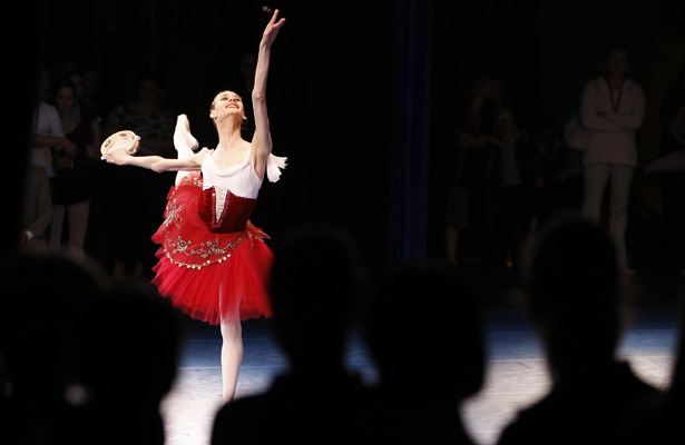 bolshoi banner.jpg