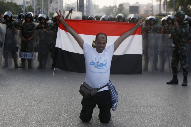 egyptcambfollow-banner.jpg