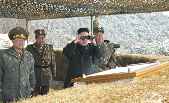 nk hirsh banner.jpg